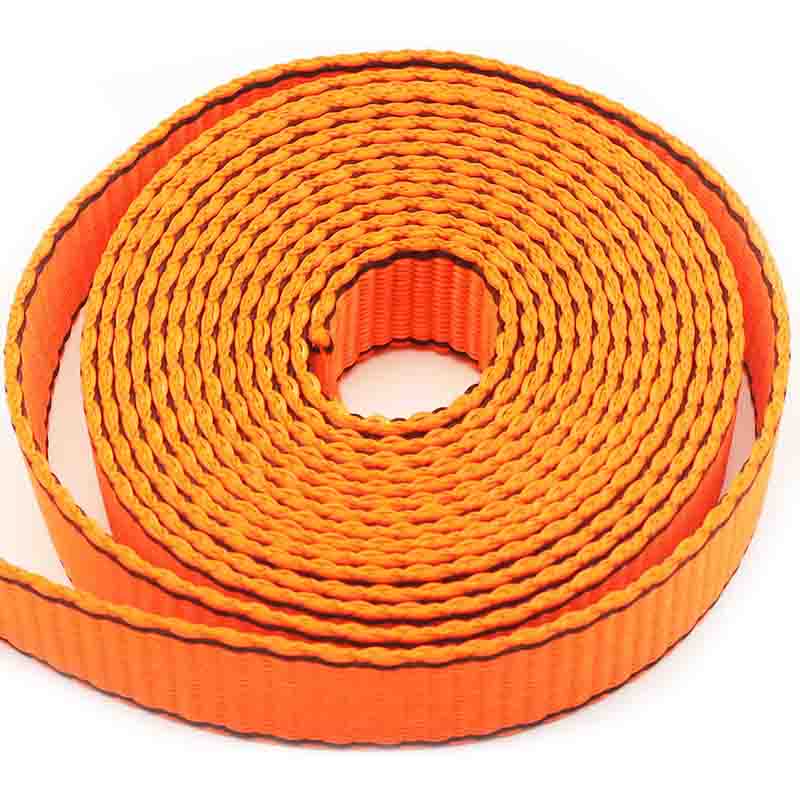 Polyester Webbing accingatur magna virtus